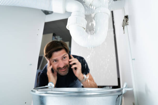 Best Local Plumber Services  in Pecatonica, IL